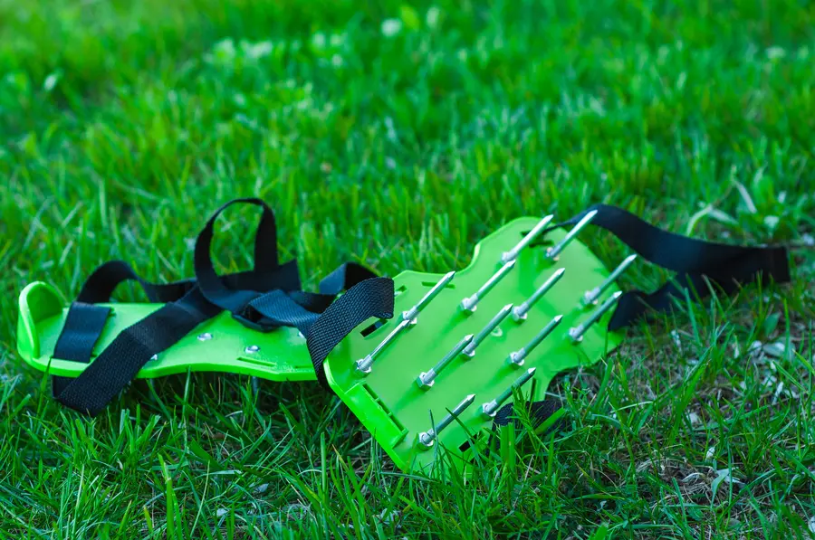 How Lawn Aeration Supports Stronger Root Development Highbury, NS