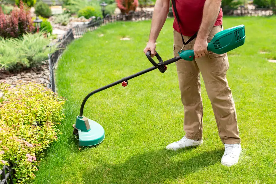 Professional Lawn Care Highbury, NS